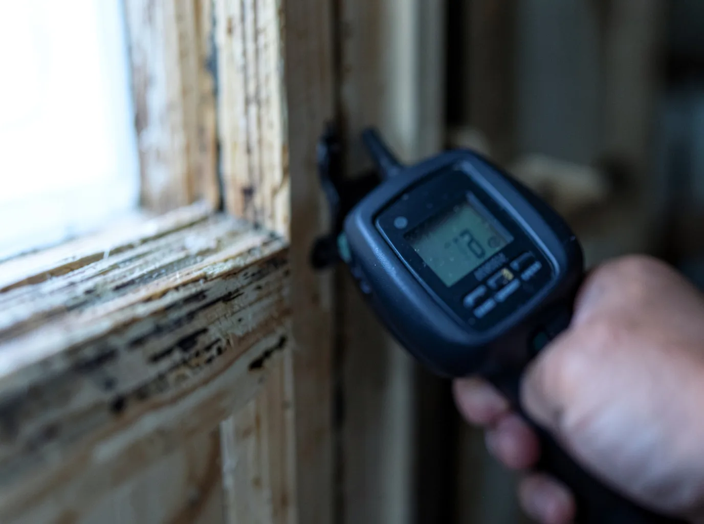 Moisture Inspection And Documentation in Pahoa, HI
